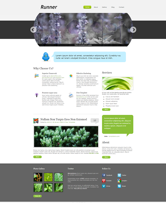 绿色植物创意企业风格展示网站模板