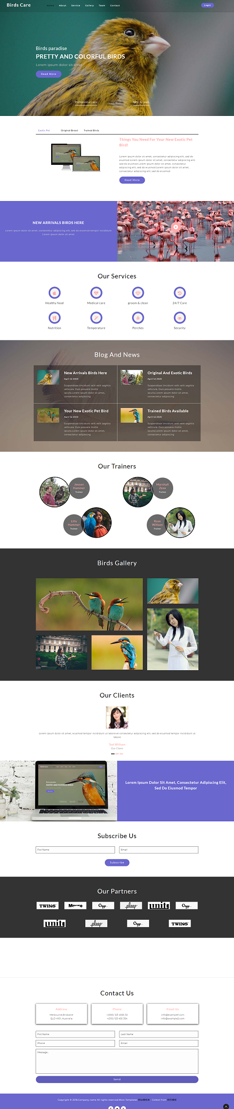 响应式宽屏鸟类专业摄影网站模板