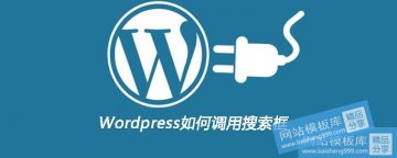 Wordpress检索框调用代码