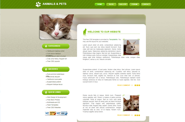 简单简洁绿色背景可爱猫咪网站模板