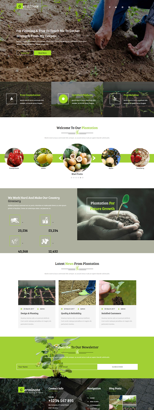 绿色蔬菜水果种植培育企业网站模板